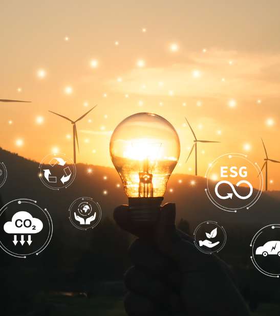 Carbon Cost Management Illustration